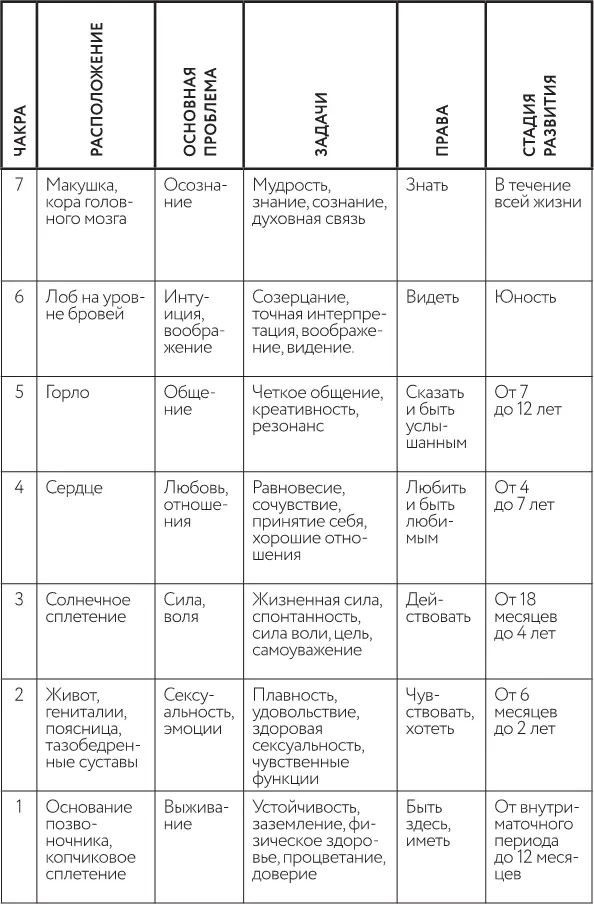 Глава 11 Первая чакра Бей беги застынь или сложись В основе человеческого - фото 15