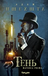 Адам Пшехшта - Тень [litres]