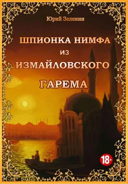Юрий Зеленин Шпионка Нимфа из Измайловского гарема обложка книги