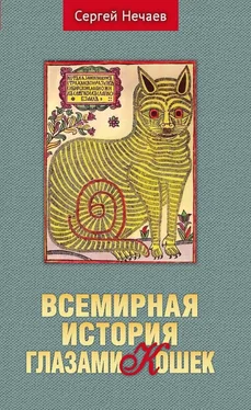 Сергей Нечаев Всемирная история глазами кошек обложка книги