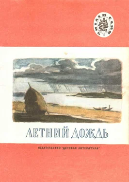 Аполлон Майков Летний дождь [сборник] обложка книги