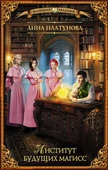 Анна Платунова - Институт будущих магисс [litres]