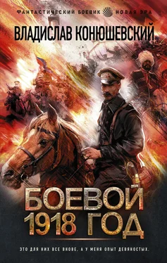 Владислав Конюшевский Боевой 1918 год [litres] обложка книги