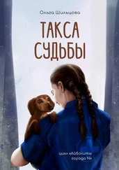 Ольга Шильцова - Такса судьбы. Цикл «Айболиты города N» [publisher - Издательские решения]