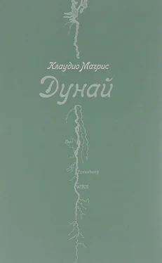 Клаудио Магрис Дунай обложка книги