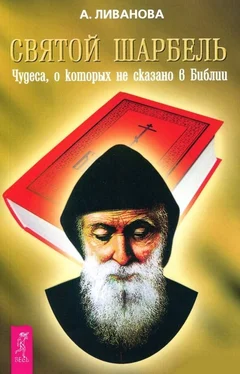 Александра Ливанова Святой Шарбель. Чудеса, о которых не сказано в библии обложка книги