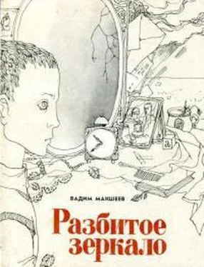 Вадим Макшеев Разбитое зеркало обложка книги