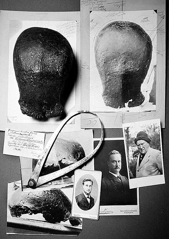 Эжен Дюбуа и череп Pithecanthropus erectus Во времена Дарвина уже были - фото 1
