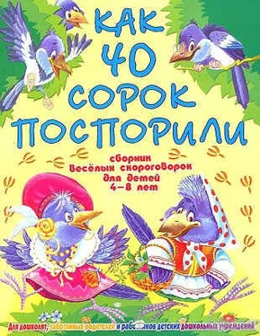 Виктория Гридина Как 40 сорок поспорили обложка книги