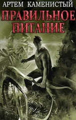 Артем Каменистый - Правильное питание [СИ]