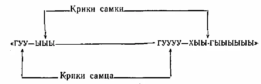 Каждый из звуков этой песни воспроизводится через строго определенные интервалы - фото 1