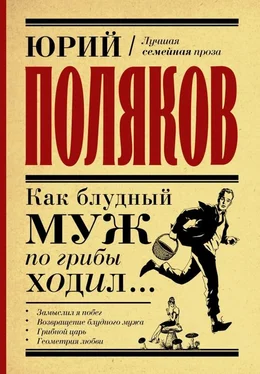 Юрий Поляков Как блудный муж по грибы ходил обложка книги