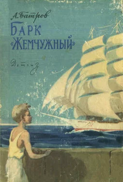 Александр Батров Барк «Жемчужный» обложка книги