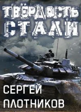 Сергей Плотников Твердость стали обложка книги