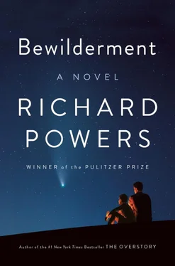 Richard Powers Bewilderment обложка книги