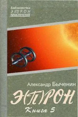 Александр Быченин Э(П)РОН-5 обложка книги