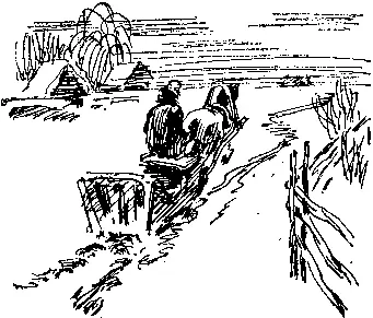 В конце января Осипова в ответ на это письмо пишет В сундуке который как - фото 29