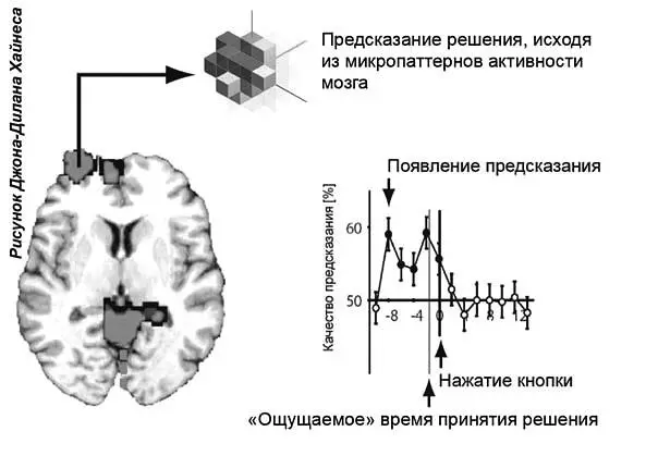 Рис Результаты исследования ДжонаДилана Хайнеса Эти результаты опубликованы - фото 1