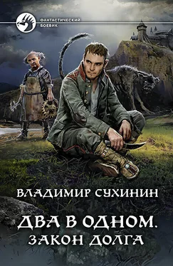 Владимир Сухинин Закон долга [litres] обложка книги