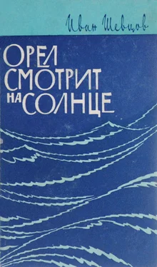 Иван Шевцов Орел смотрит на солнце обложка книги