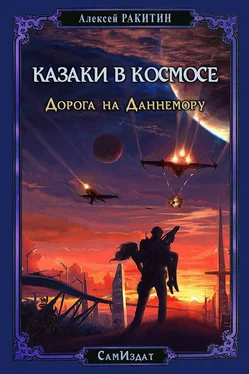 Алексей Ракитин Дорога на Даннемору (СИ) обложка книги