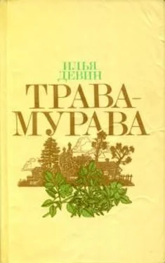 Илья Девин Трава-мурава обложка книги