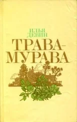 Илья Девин - Трава-мурава