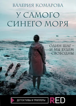 Валерия Комарова У самого синего моря [litres] обложка книги