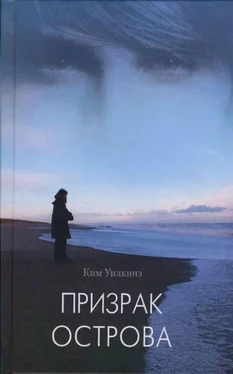 Ким Уилкинз Призрак острова  обложка книги