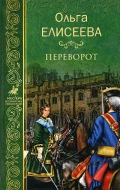 Ольга Елисеева Переворот обложка книги