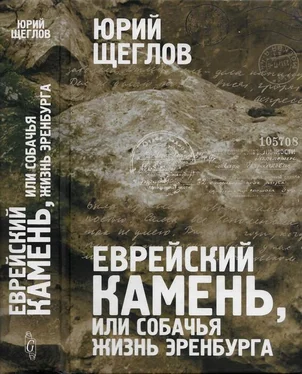 Юрий Щеглов Еврейский камень, или собачья жизнь Эренбурга обложка книги