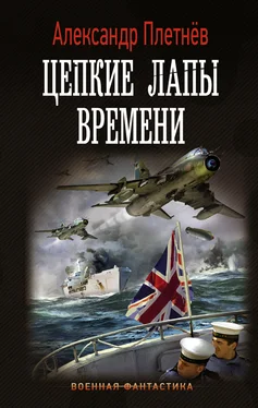 Александр Плетнёв Цепкие лапы времени [litres] обложка книги