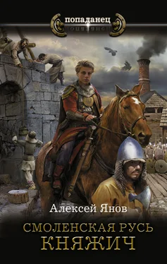 Алексей Янов Княжич [litres] обложка книги