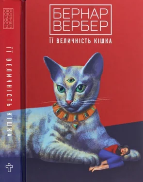 Бернар Вербер Її величність кішка обложка книги