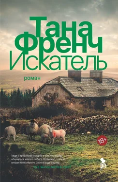 Тана Френч Искатель [litres] обложка книги