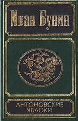 Иван Бунин - Антоновские яблоки [рассказы и повести]