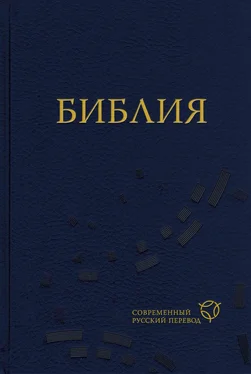 Священное Писание Библия. Современный русский перевод обложка книги