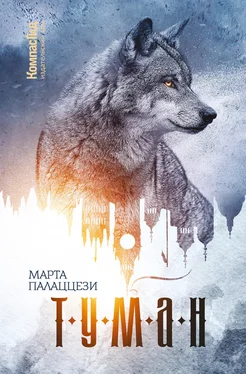 Марта Палаццези Туман [litres] обложка книги