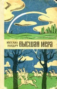 Михаил Найдич Высшая мера обложка книги