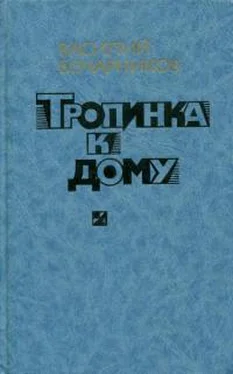 Василий Бочарников Тропинка к дому обложка книги