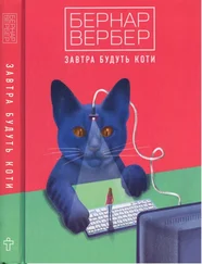 Бернар Вербер - Завтра будуть коти