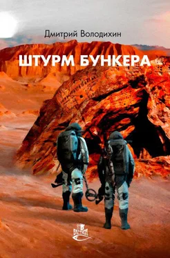 Дмитрий Володихин Штурм бункера [litres] обложка книги