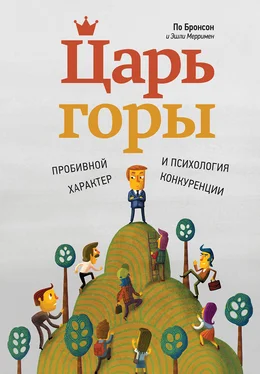 По Бронсон Царь горы. Пробивной характер и психология конкуренции обложка книги