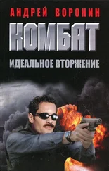 Андрей Воронин - Комбат. Идеальное вторжение