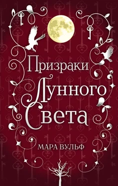 Мара Вульф Призраки лунного света [litres] обложка книги