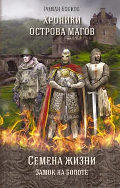 Роман Бобков Хроники острова магов. Семена жизни. Книга 1. Замок на болоте обложка книги