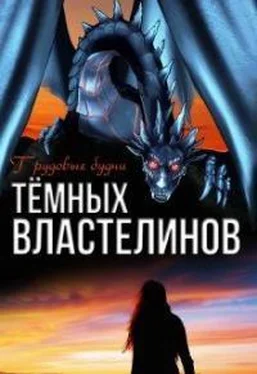 Алиса Чернышова Трудовые будни Тёмных Властелинов обложка книги