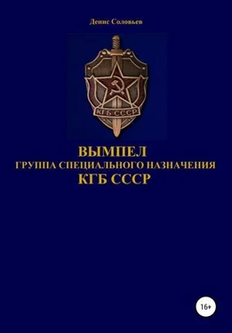 Денис Соловьев Вымпел. Группа специального назначения КГБ СССР обложка книги