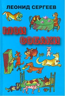 Леонид Сергеев Самый дружелюбный пес на свете обложка книги
