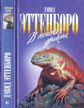 Дэвид Аттенборо В поисках дракона обложка книги